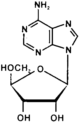 adenine